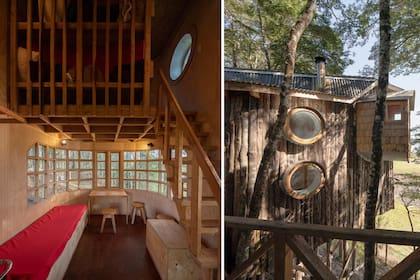 Casas en los árboles