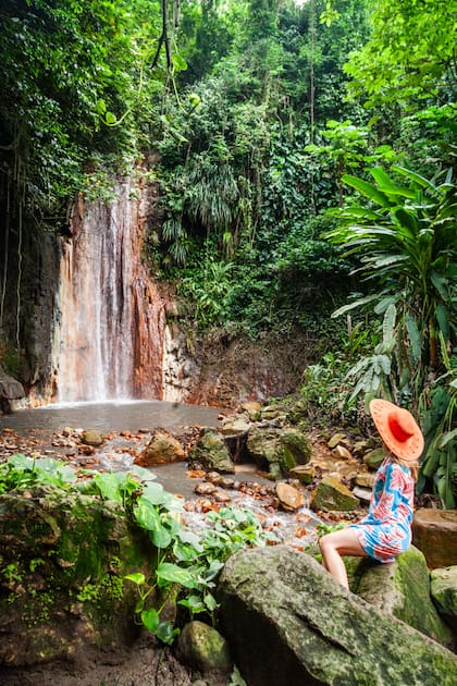 Cascada Diamond, en el Jardín Botánico.