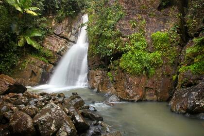 Cascada en El Yunque. El Bosque Nacional El Yunque es uno de los lugares más lluviosos del mundo. Es también un lugar turístico muy visitado, admirado y protegido por los ciudadanos de la isla. Posee varias cascadas y una naturaleza tropical fascinante.