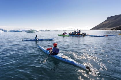 Casi todas las empresas ofrecen kayaks para navegar las aguas antárticas y observar de cerca la fauna marina