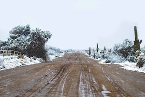 Alerta por fuertes nevadas en Texas, Nuevo México y Arizona: ¿qué dice el servicio meteorológico?