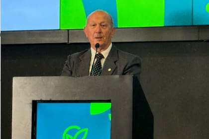 Castagnani cuestionó el esquema vigente hasta ahora: “La ley vigente mostraba resultados evidentes: una creciente industria del juicio y casi un 50% de trabajo marginal, algo que perjudica tanto al empleador como al trabajador”