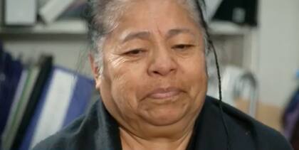 Castillo indicó que, desde que llegaron a Estados Unidos trabajaron como ayudante de jardinería, limpieza, y construcción