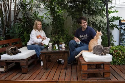 Cat Café Buenos Aires abrió sus puertas en 2021