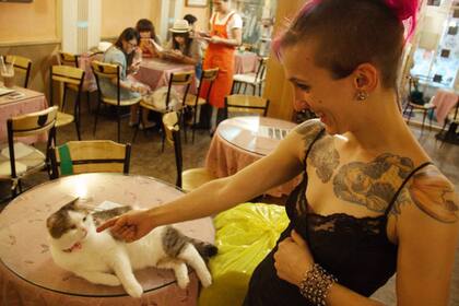 Cat Flower Garden, uno de los pioneros