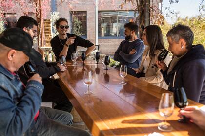 Cata de vinos en Mendoza.