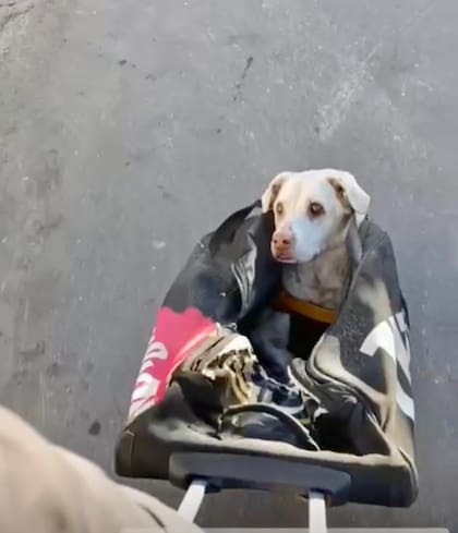 Catalina no puede caminar y tiene baja visión.