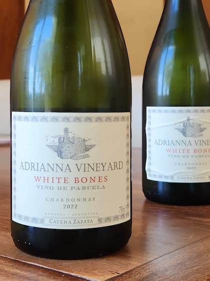 Catena Zapata White Bones, el mejor blanco del año para Atkin