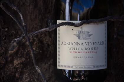 Catena Zapata White Bones, proveniente del Viñedo Adrianna en Gualtallary (Mendoza)