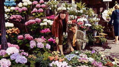 Catherine Dior se dedicó al cultivo de flores, muchas de sus campos se siguen utilizando hoy en las fragancias Dior