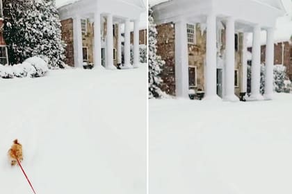 Catherine Zeta-Jones mostró su mansión neoyorquina nevada y recibió numerosos halagos