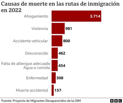 Causas de muerte en las rutas de inmigración 2022