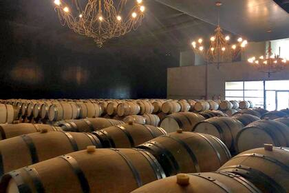 Cava de una de las bodegas de Rolland, en Francia