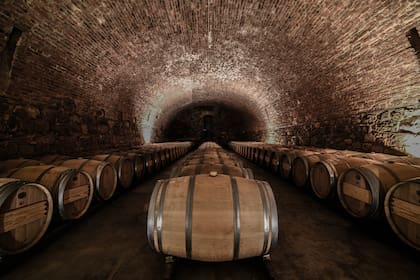 Cava subterránea de Bodegas Caro