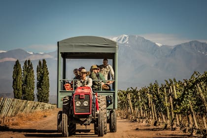 Cavas Wine Lodge es un relais chateaux con propuestas para hacer enoturismo en la zona ya que está estratégicamente ubicado entre las bodegas más conocidas y la magnífica cordillera de los Andes, en Luján de Cuyo, Mendoza