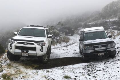 Cayó nieve en el suelo en el área de Polipoli Spring en Kula, Hawai, en la isla de Maui. Una fuerte tormenta que golpeó a Hawaii derribó ramas de árboles, inundó caminos costeros, e incluso trajo nieve. La nieve no es desconocida en las partes montañosas de la cadena de islas tropicales.