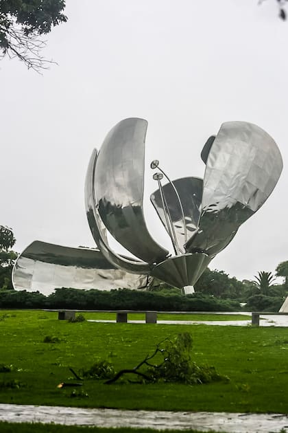 Cayó uno de los pétalos de la icónica escultura Floralis Genérica, ubicada en el barrio porteño de Recoleta