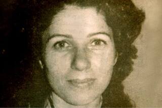 La pista del Falcón gris, una prueba oculta en el expediente durante 36 años