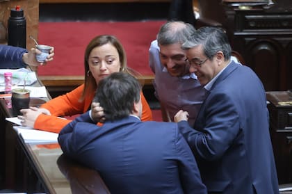 Cecilia Moreau, Máximo Kirchner y Germán Martínez, diputados kirchneristas durante la última sesión