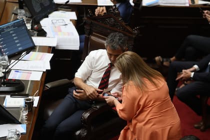Cecilia Moreau y Martín Menem durante la sesión en Diputados por la "Ley Ómnibus"
