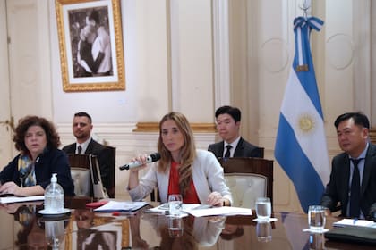 Cecilia Nicolini habló por videoconferencia con autoridades del gobierno de Corea del Sur para asesorarse sobre algunas medidas que ellos implementaron