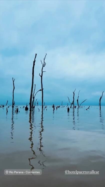 Celeste Cid y Santiago Korovsky viajaron a los Esteros del Iberá y recorrieron en bote el pantano