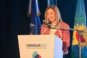 El mundo perdió el equivalente a 31 años de agua potable, advirtió la experta argentina Celeste Saulo