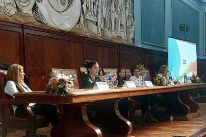 Celeste suele dar conferencias sobre los derechos de las personas con discapacidad; también talleres para docentes que quieran capacitarse en educación inclusiva