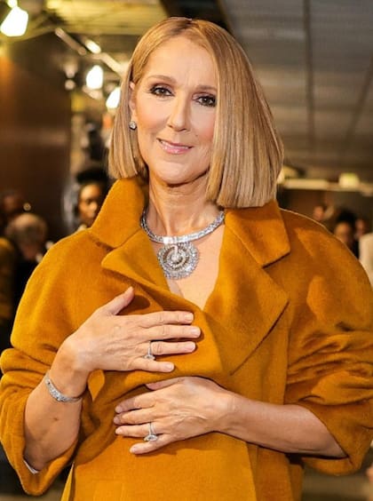 Celine Dion regresó al escenario de los Grammy