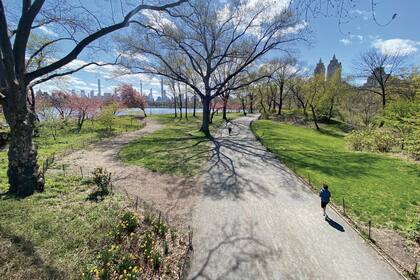 Central Park en New York.