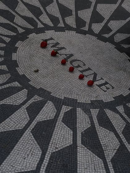 Central Park fue parte del itinerario de viaje (Foto: Instagram @orianasabatini)