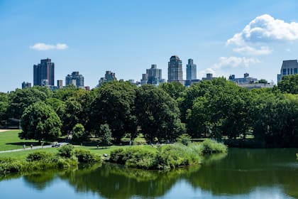 Central Park vista panorámica