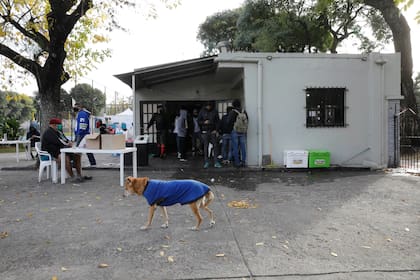 El Polideportivo Pereyra fue uno de los espacios que abrió el gobierno porteño, en convenio con Proyecto 7, para que personas en situación de calle puedan cumplir con la cuarentena.