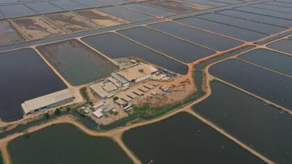 Centro de producción de camarones en el Lago de Maracaibo