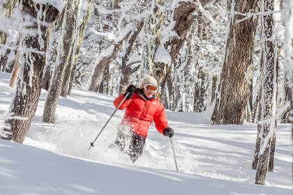 La preventa de la temporada invernal empezó en diciembre pasado