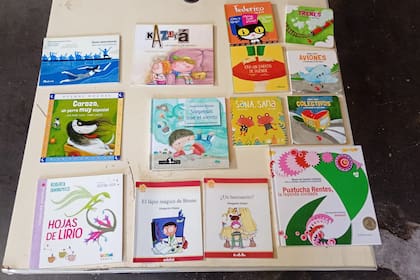 Cerca de 6 mil libros infantiles llegaron a las bibliotecas de Bahía Blanca
