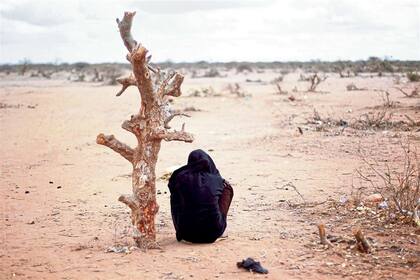 Cerca de la ciudad keniata de Dadaab, la sequía hace estragos