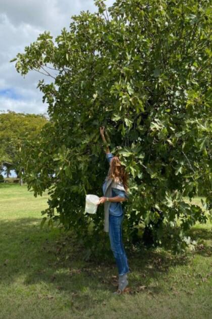 Cerca de la huerta: Juliana Awada paseó entre los cultivos de la estancia