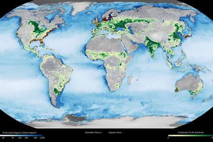 Cerca de las regiones con grandes extensiones agrícolas (verde) del mundo suelen aparecer zonas hipóxicas (rojo).