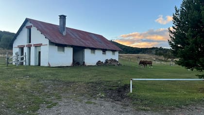 Cerca del río pastan ovejas y caballos de las estancias que pueblan estas tierras hace más de 100 años.