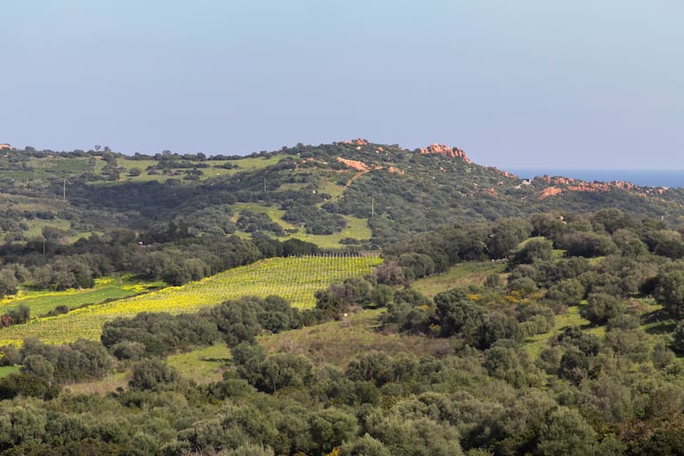 Cerdeña / Serdegna