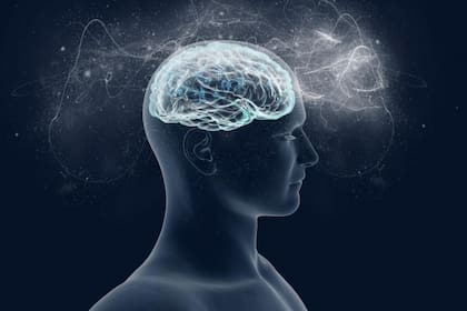 Los especialistas manifestaron que la conciencia no se encuentra en el cerebro sino en la energía electromagnética generada por impulsos eléctricos compartidos entre neuronas