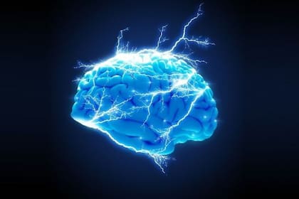 El cerebro humano funciona gracias a su amplia red neuronal que se estima que contiene aproximadamente 69 mil millones de neuronas