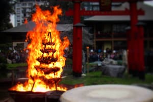 Ceremonia del Hi Matsuri en el Jardín Japonés