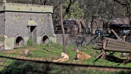 La jaula de los leones, uno de los edificios en juego