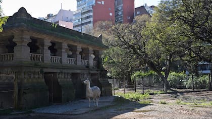 Los antiguas jaulas tienen un alto valor patrimonial