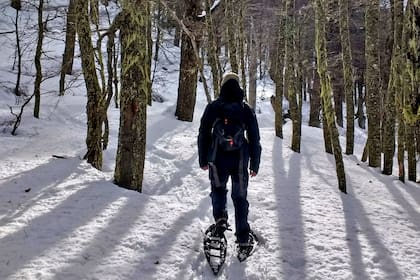Caminatas con raquetas, para explorar la "trastienda" del centro de esquí