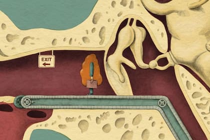 El cerumen que se forma en el conducto auditivo puede tardar meses en llegar al oído externo.