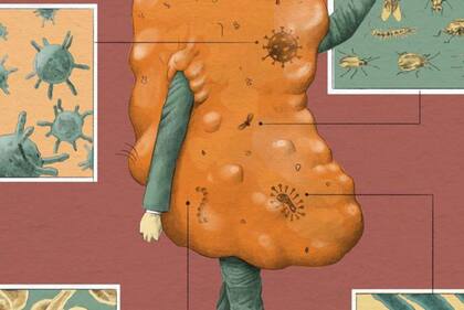 Los investigadores identificaron 27 compuestos en el cerumen que servían como una especie de "huella dactilar" para el diagnóstico de cáncer.