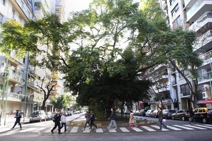 El bulevar Cerviño, un clásico de la zona